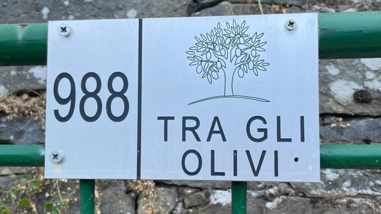 Tra Gli Olivi Apartment Lucca Exterior photo