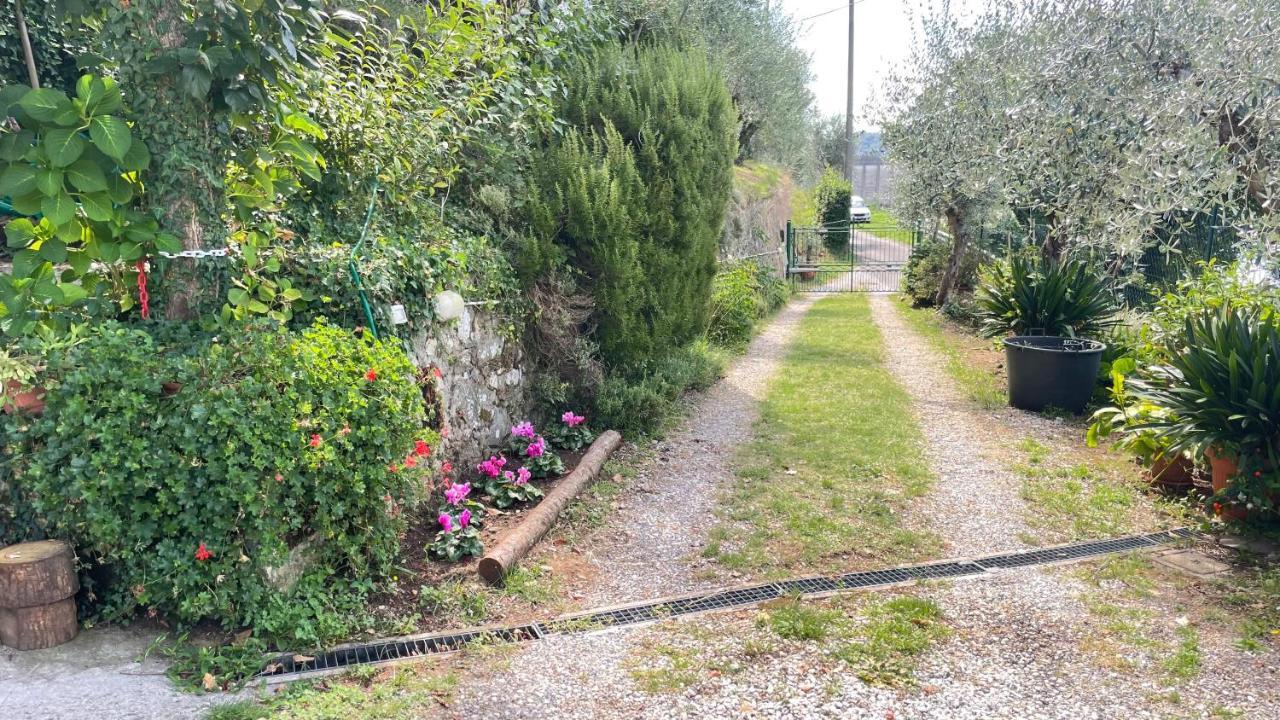 Tra Gli Olivi Apartment Lucca Exterior photo